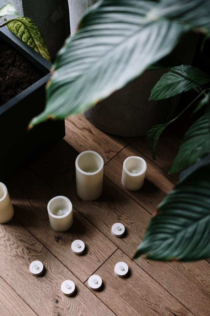 gallery-02 A serene indoor scene featuring candles and lush green leaves on a wooden floor.